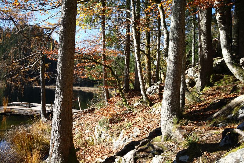 Datei:Toplitzsee 77735 2014-11-03.jpg