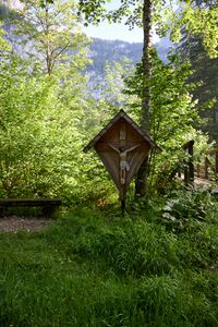 Wegkreuz beim Winkelbach WB bei Liezen-249-2026-06-18.jpg