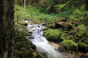 Zimitzbach grundlsee 77292 2018-06-04.jpg