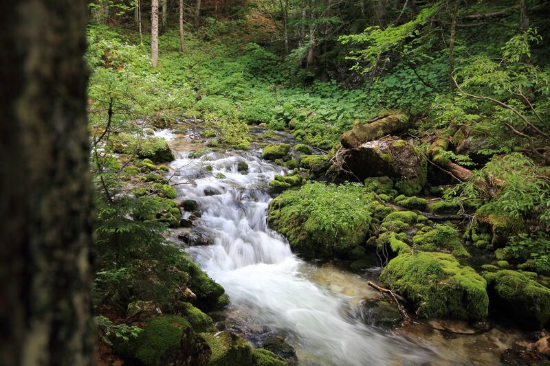 Datei:Zimitzbach grundlsee 77292 2018-06-04.jpg