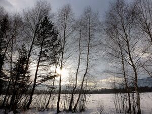 Ennsau Wörschach330118.JPG