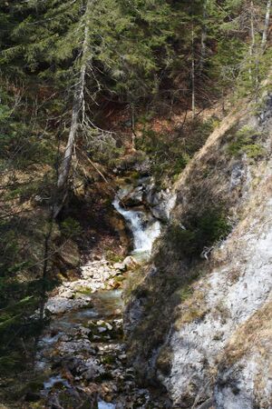 Feisterbach 1159 2008-04-17.jpg