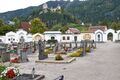 Friedhof st.gallen-0006-2025-09-15.jpg
