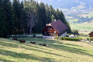 Grojerhof michaelerberg Ost-0173-2023-08-14.jpg