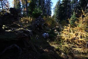 Hochknall 10929 2015-10-27.jpg