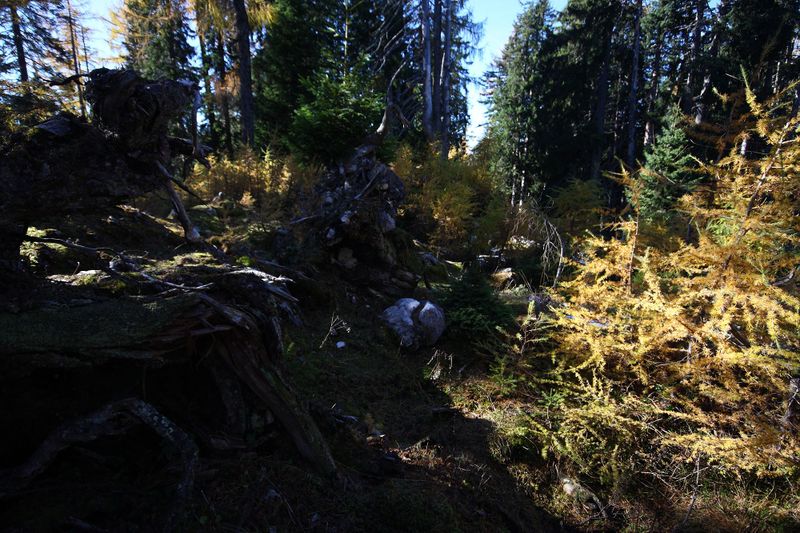 Datei:Hochknall 10929 2015-10-27.jpg