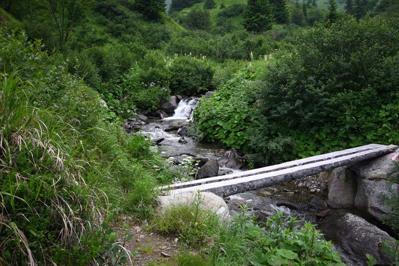 Datei:Mößnakarbach 1312 13-07-12.jpg