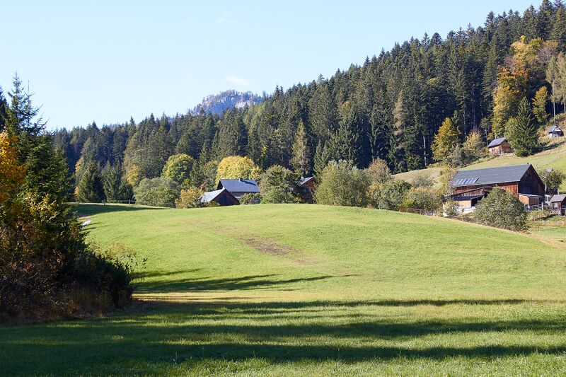 Datei:Waldgraben altaussee-0383-2021-10-09.jpg