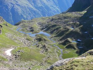 Wildkar 17417 2006-07-17.jpg