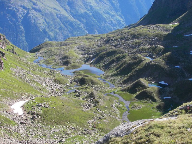 Datei:Wildkar 17417 2006-07-17.jpg