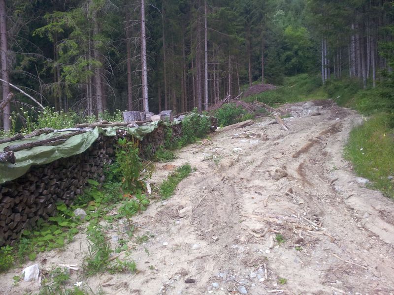 Datei:20130720 142008.jpg