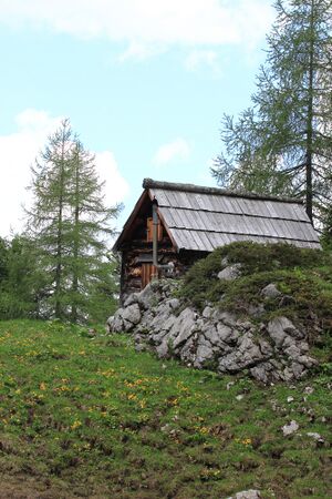 Ailbl 77473 2018-06-04.jpg