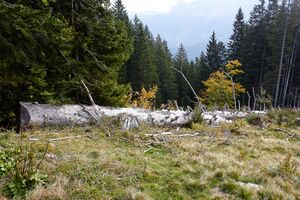 Ausseer sandlingalm-0028-2021-10-11.jpg