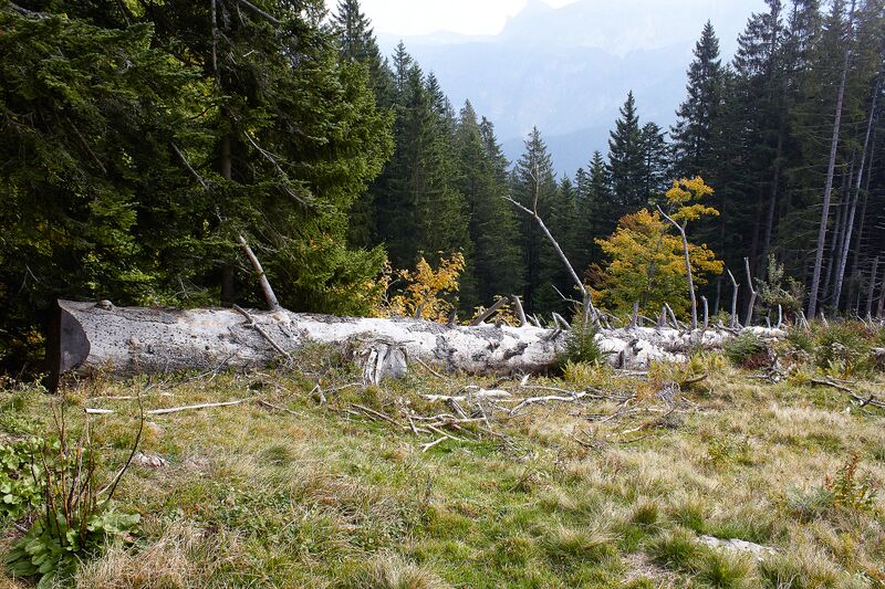 Datei:Ausseer sandlingalm-0028-2021-10-11.jpg