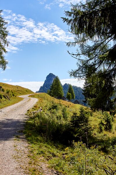 Datei:Bärenfeichtenalm-3102-2021-08-03.jpg