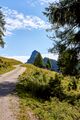 Bärenfeichtenalm-3102-2021-08-03.jpg