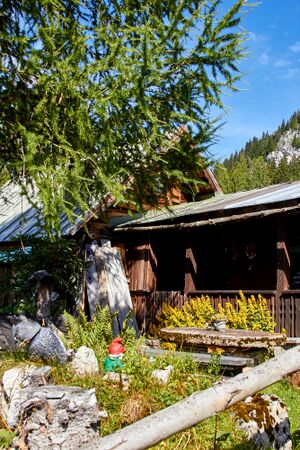 Bärenfeichtenalm-3113-2021-08-03.jpg
