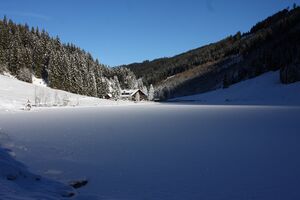 Bodensee 26601 2014-01-01.jpg