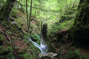 Flößereidurchbruch kammersee 46999 2017-05-17.jpg