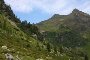 Herzmaierkar 32462 2011-07-06.jpg