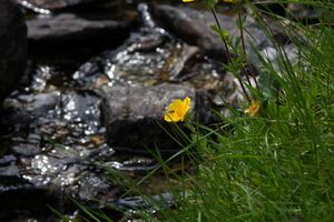 Herzmaierkar 32466 2011-07-06.jpg