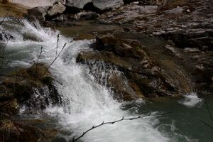 Kalte mandling022.jpg