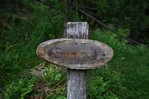 Katschtal -emma-zirbe 92284 2015-06-18.jpg