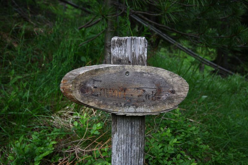 Datei:Katschtal -emma-zirbe 92284 2015-06-18.jpg