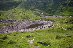 Krottenseen 1686 13-08-05.jpg