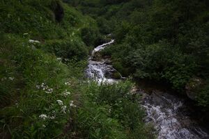 Mößnakarbach 1311 13-07-12.jpg