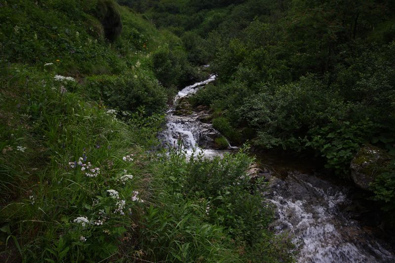 Datei:Mößnakarbach 1311 13-07-12.jpg