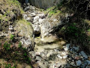 Mühlbach (Aicherlstein)80904.JPG