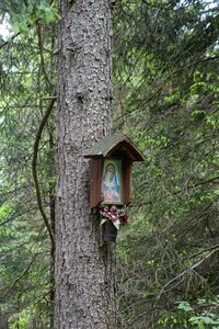 MA 13 kirchweg-0458-2023-06-09.jpg