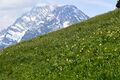 Rantensteinalm-0102-2023-05-27.jpg