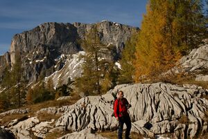 Salzofen-elmgrube 2260 2011-10-16.jpg
