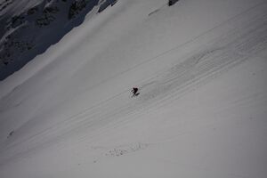 Schnabelkar 5485 2012-03-20.jpg