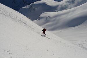 Schnabelkar 77355 2008-03-09.jpg