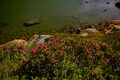 Stegerkarsee-2011-2021-06-21-2.jpg