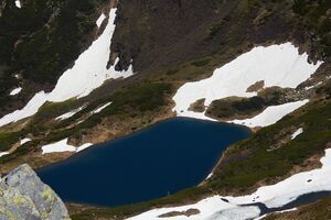 Untere riednersee-1004-2020-06-12-2.jpg