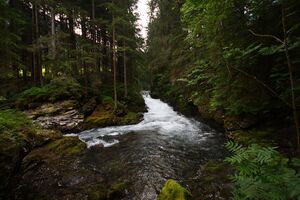 Untertalbach 23534 2008-06-26.jpg