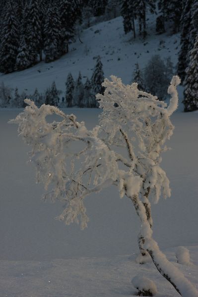 Datei:Bodensee 26574 2014-01-01.jpg