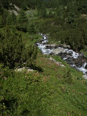 Eiskar 3626 2005-07-04.JPG