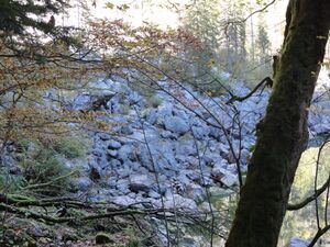 Felssturz am Kammersee.jpg