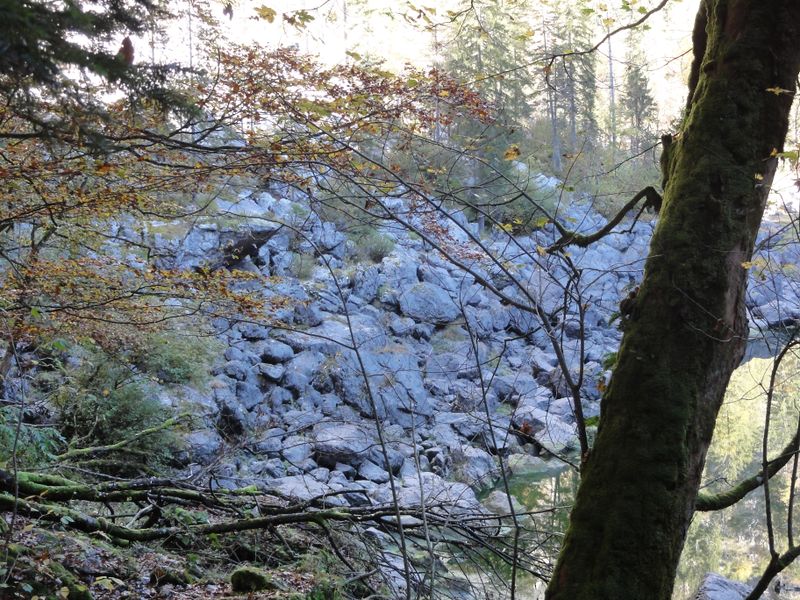 Datei:Felssturz am Kammersee.jpg