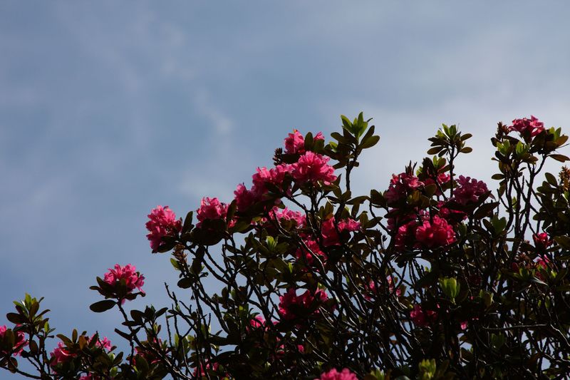 Datei:Herzmaierkar 32491 2011-07-06.jpg