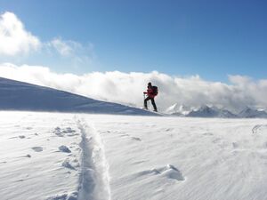 Hochfeld 42963 2006-01-19.jpg