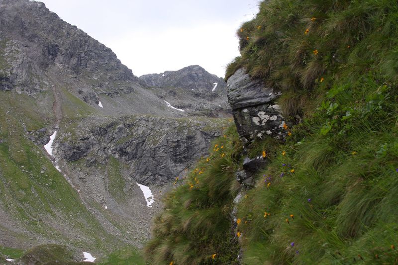 Datei:Im Wildkar 2602 2009-07-25.jpg