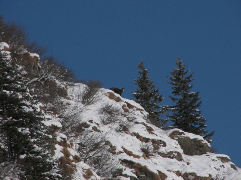 Datei:Im stegerkar 47938 2007-01-26.jpg