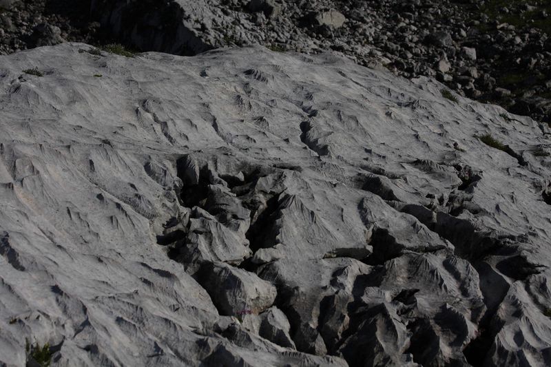 Datei:In den Karen 1763 2011-08-05.jpg