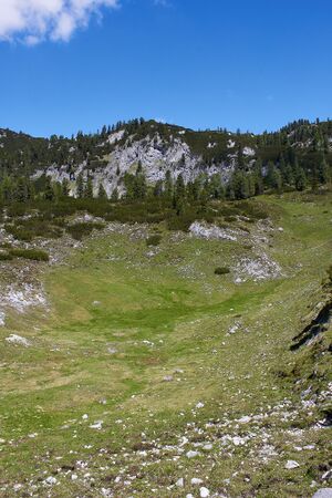 Kessel plankenalm-1003-2022-06-12.jpg